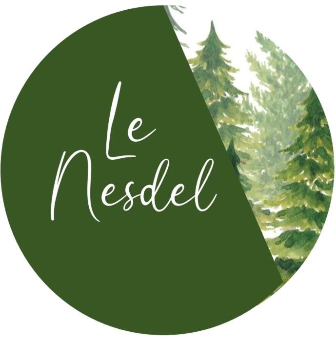 Le Nesdel Apartment Gérardmer Екстериор снимка